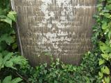 image of grave number 112222